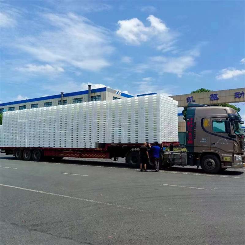 辽宁葫芦岛龙港到玉林物流公司——一站式服务，让货运更轻松（玉林专线物流）
